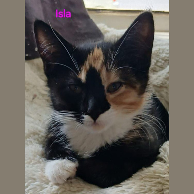 Photo of Isla