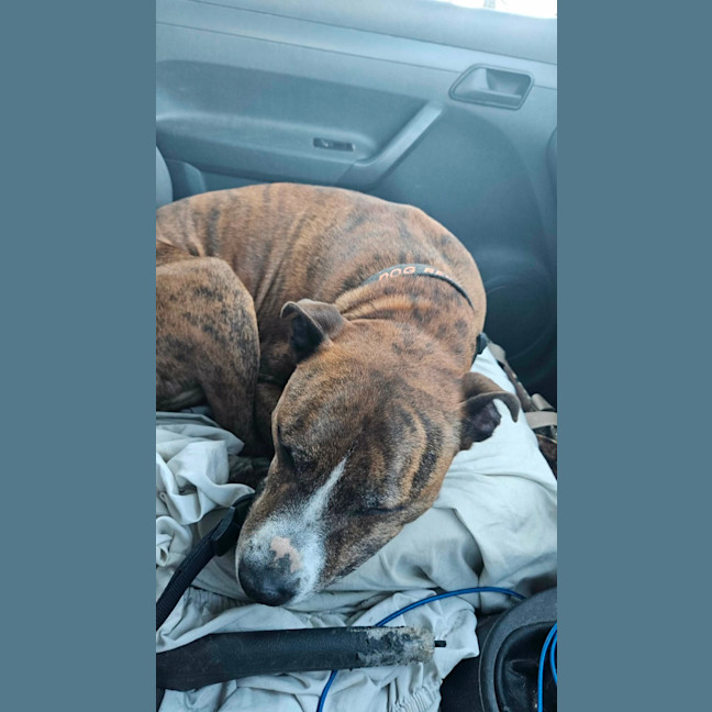 Photo of Turbo