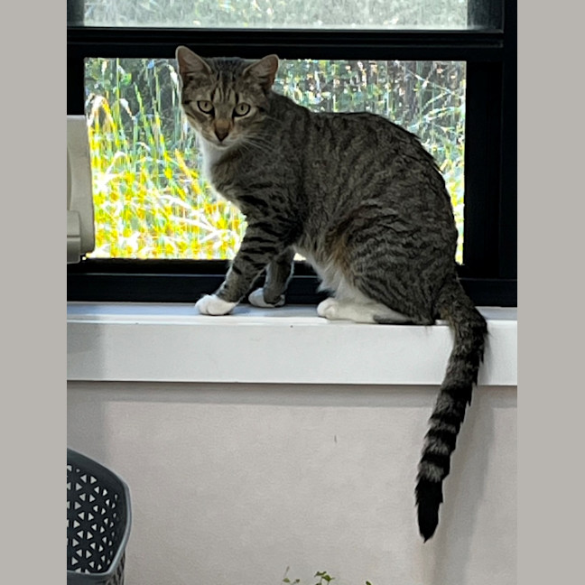 Photo of Arwen (9076)