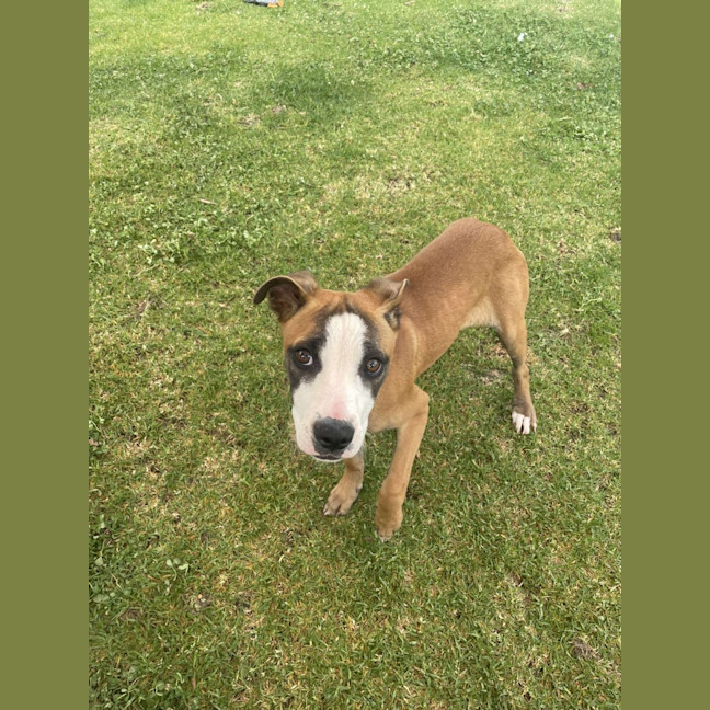 Photo of Dawnie