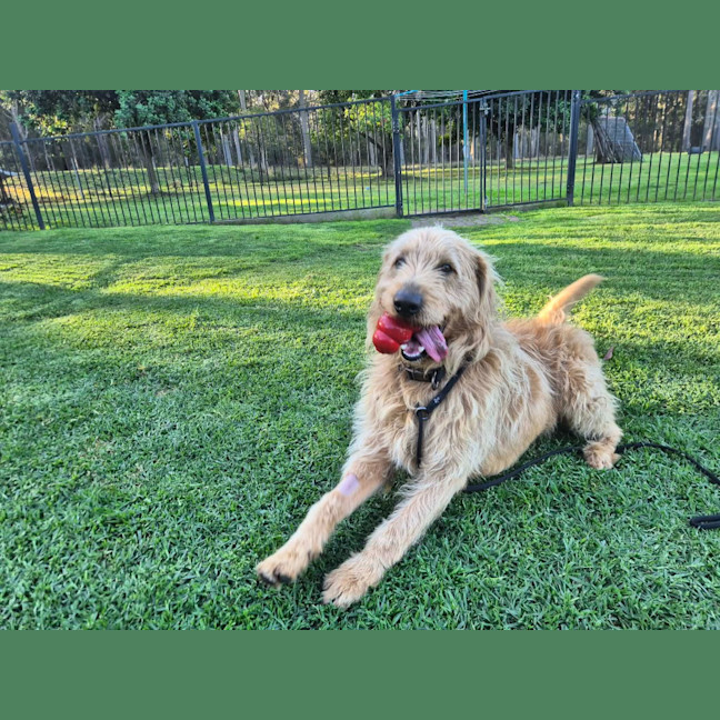 Photo of Charlie