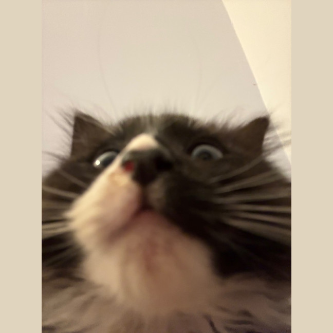 Photo of Fluoxetine Aka Flux