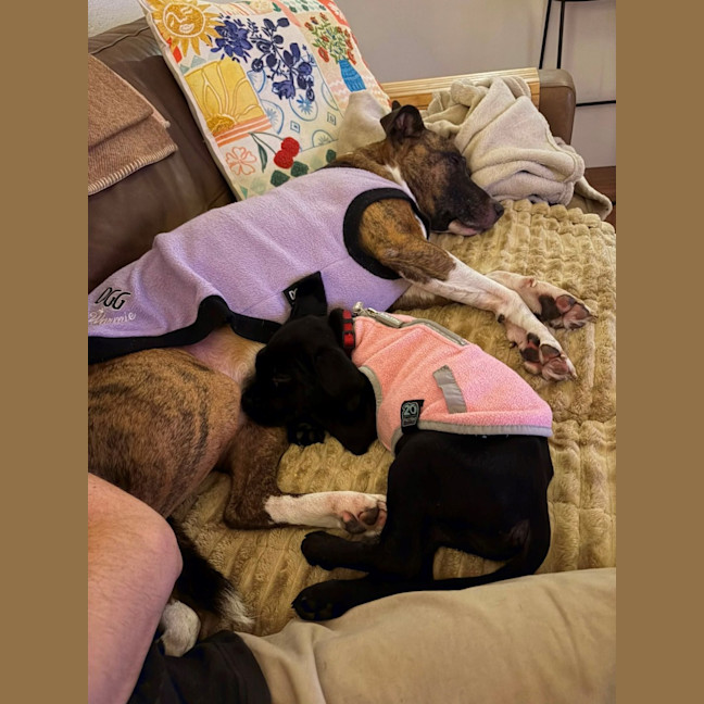 Photo of Maggie