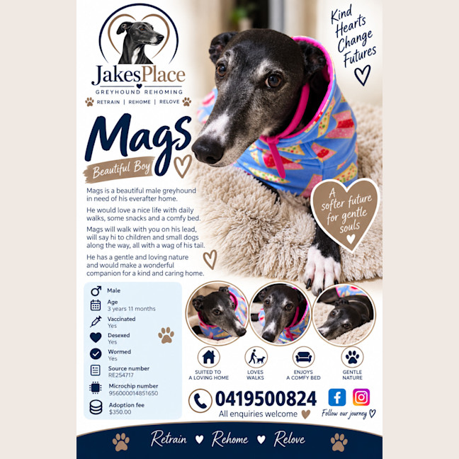 Photo of Mags