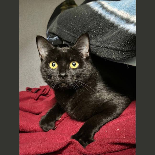 Photo of Hera