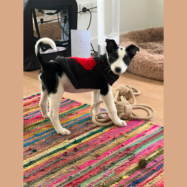 Photo of Oakley
