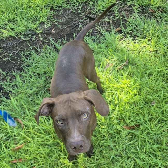 Photo of Heidi