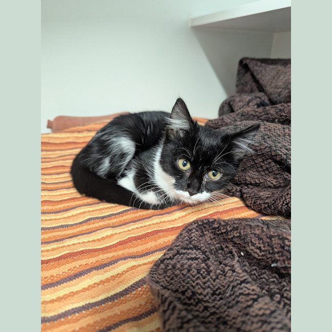 Photo of Penelope