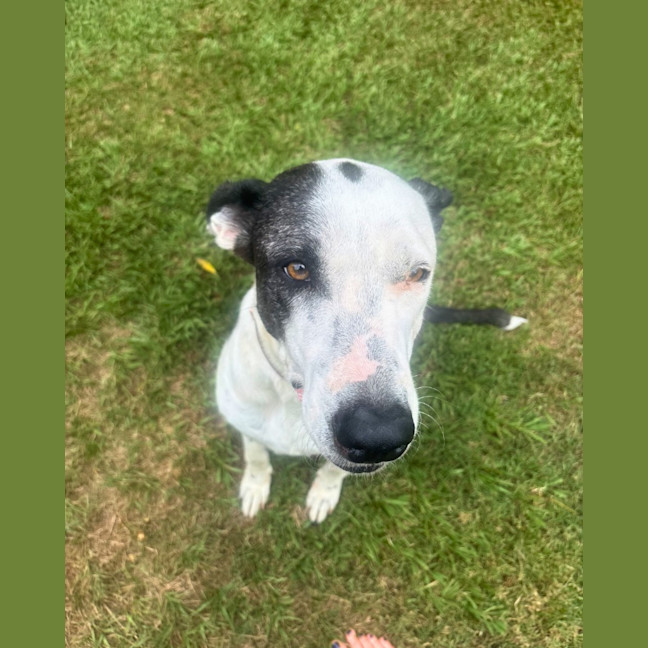Photo of Storm