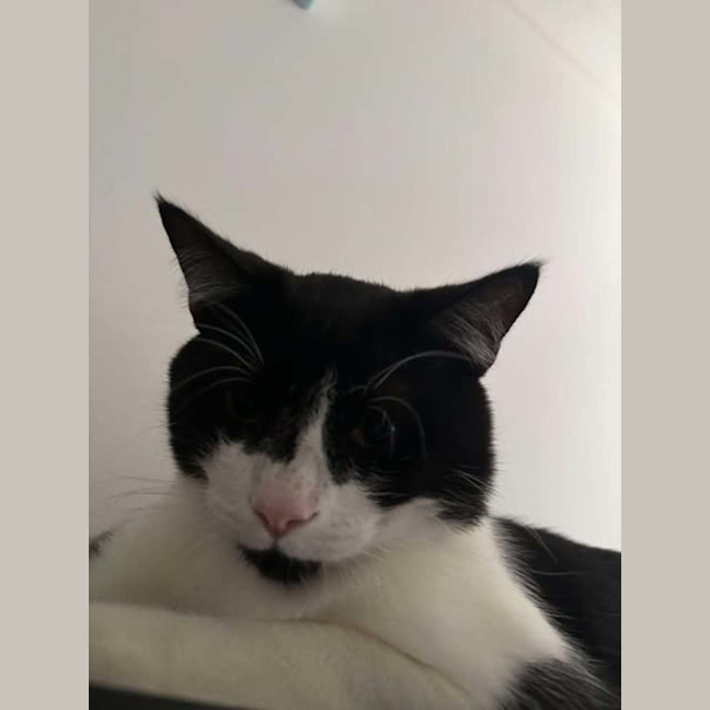 Photo of Mono