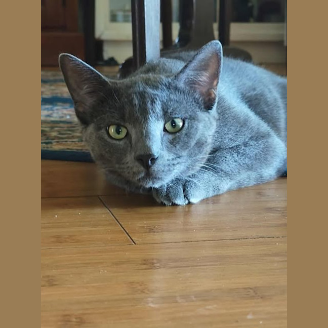 Photo of Smokie