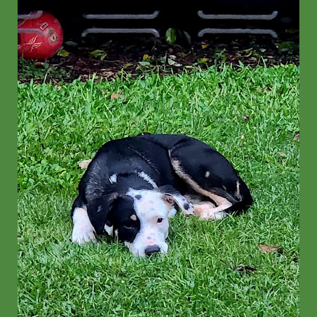 Photo of Flip