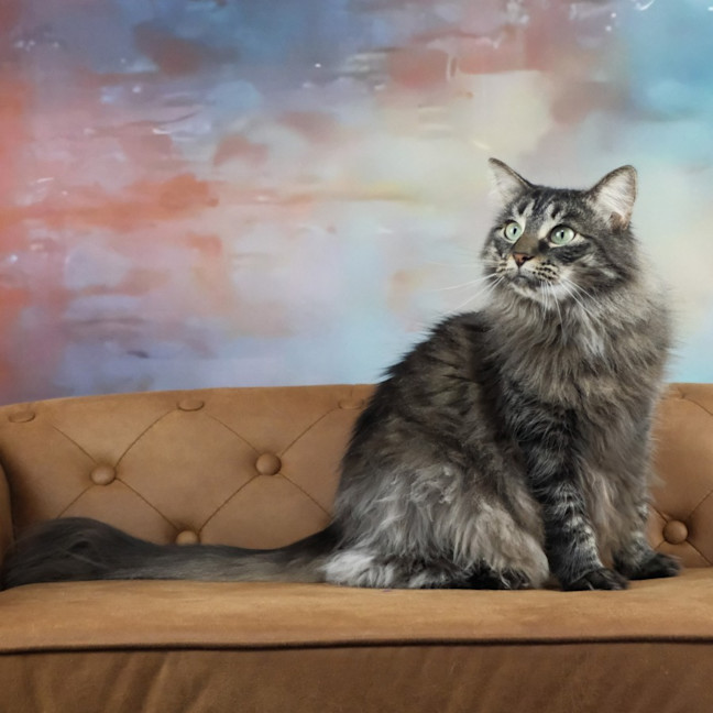 Photo of Lilly