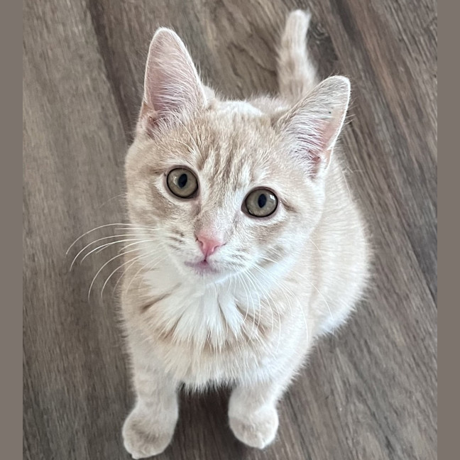 Photo of Max