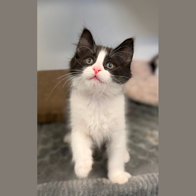 Photo of Wally