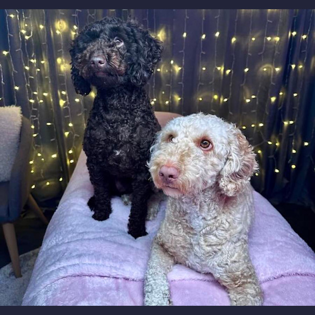Photo of Ruby And Theo