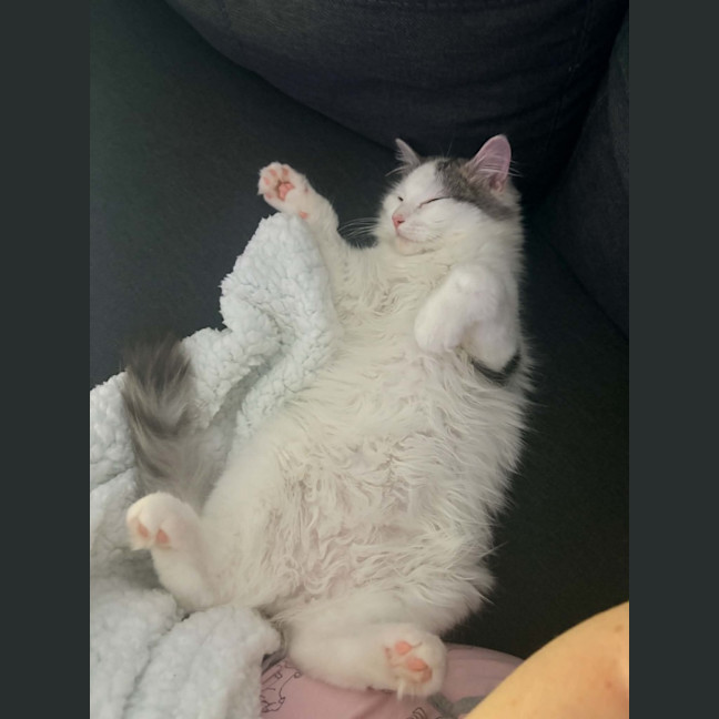 Photo of Kevin 