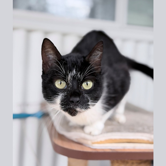 Photo of Fleur