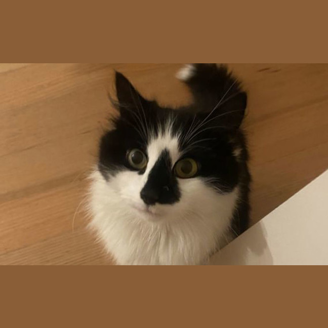 Photo of Daisybelle