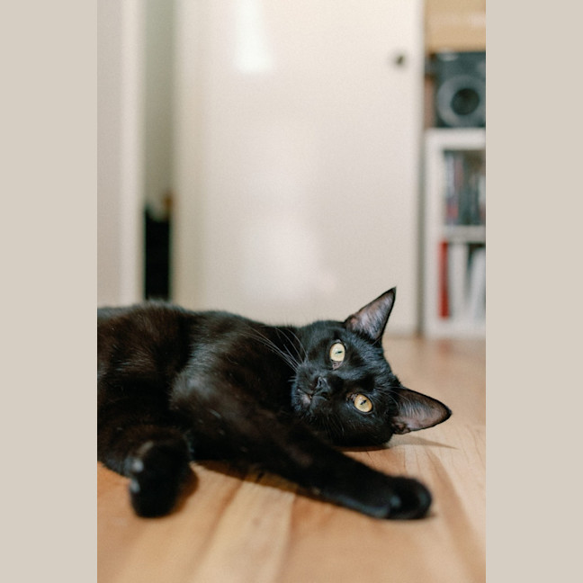 Photo of Percy