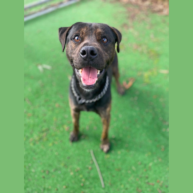Photo of Zeek