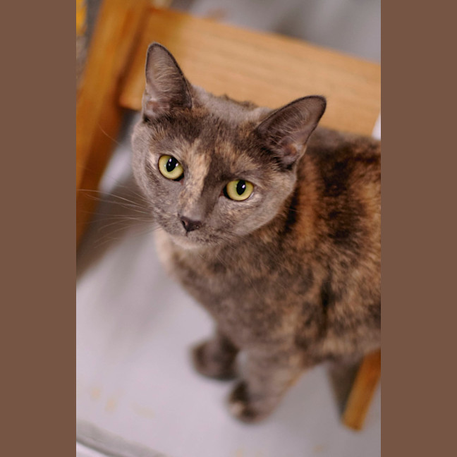 Photo of Barb