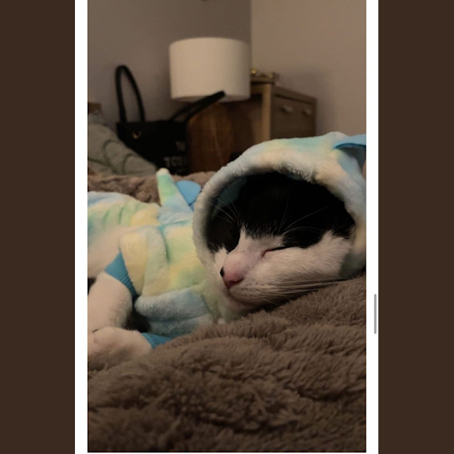 Photo of Kora (Was Echo)