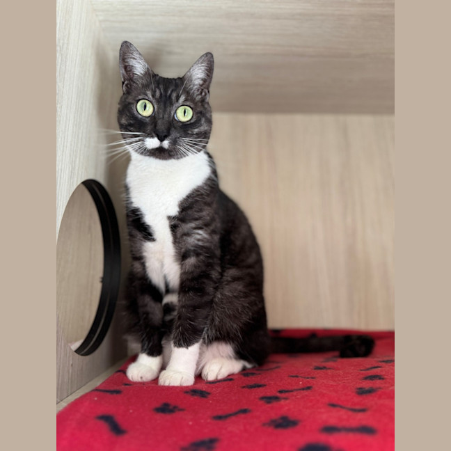 Photo of C1534 Stormi