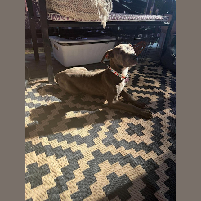Photo of Buffy