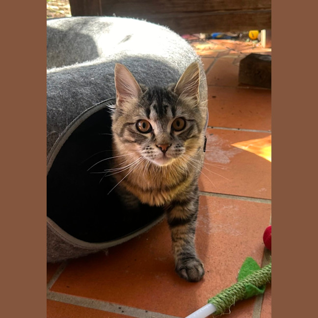 Photo of Pedro