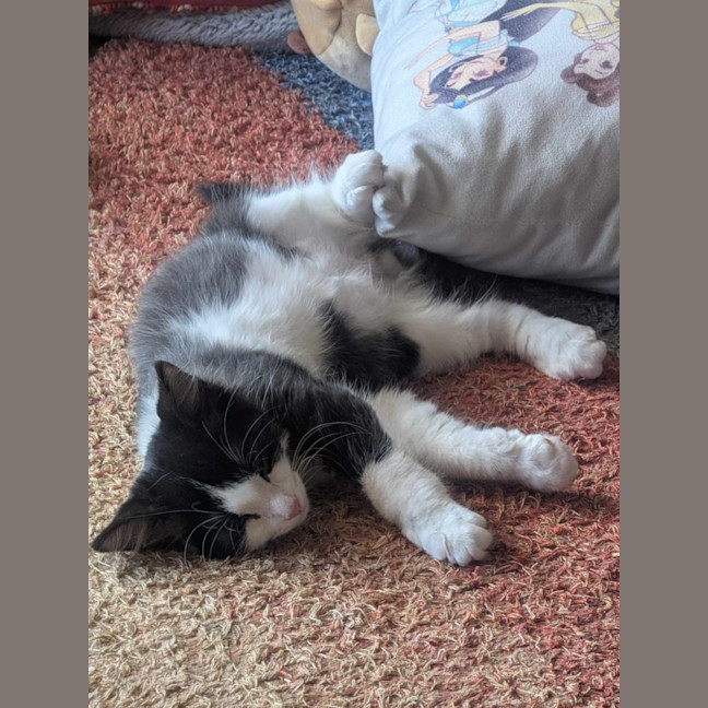 Photo of Minnie