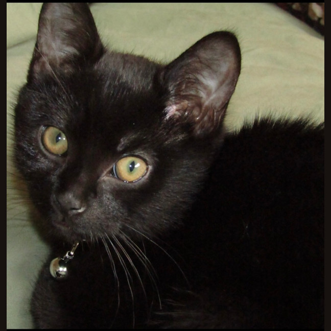 Photo of Espresso 