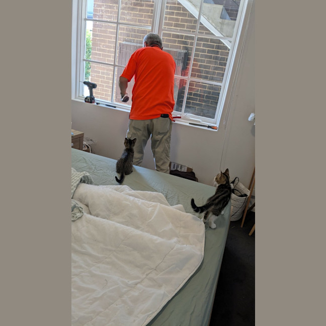 Photo of Bertie & Bolt 