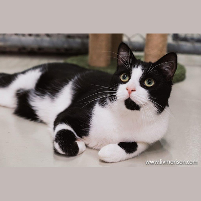 Photo of Jasper Picton