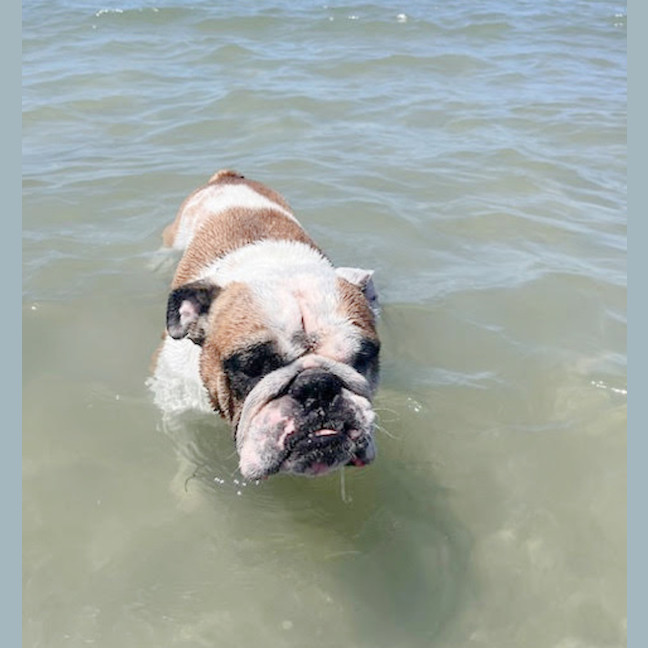 Photo of 👅Gordito👅