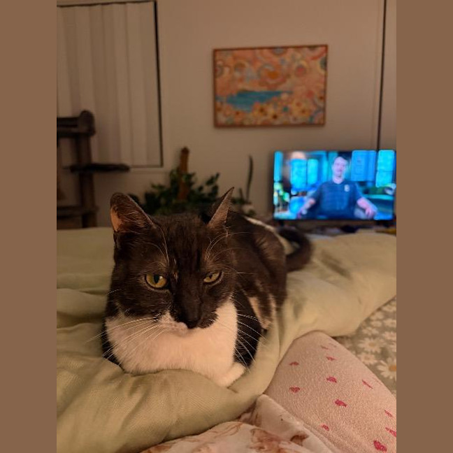 Photo of Maggie