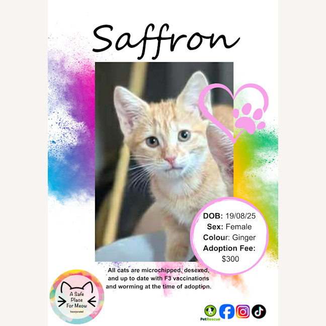 Photo of Saffron