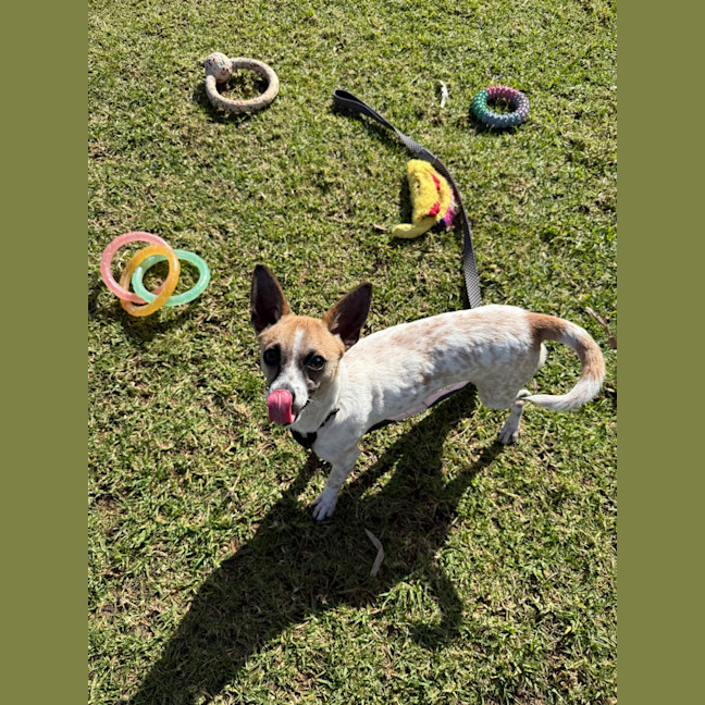 Photo of Karloo