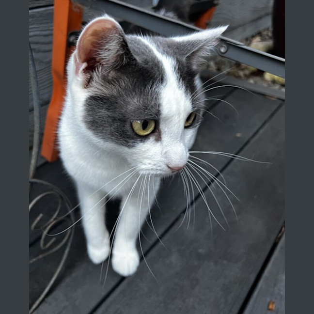 Photo of George