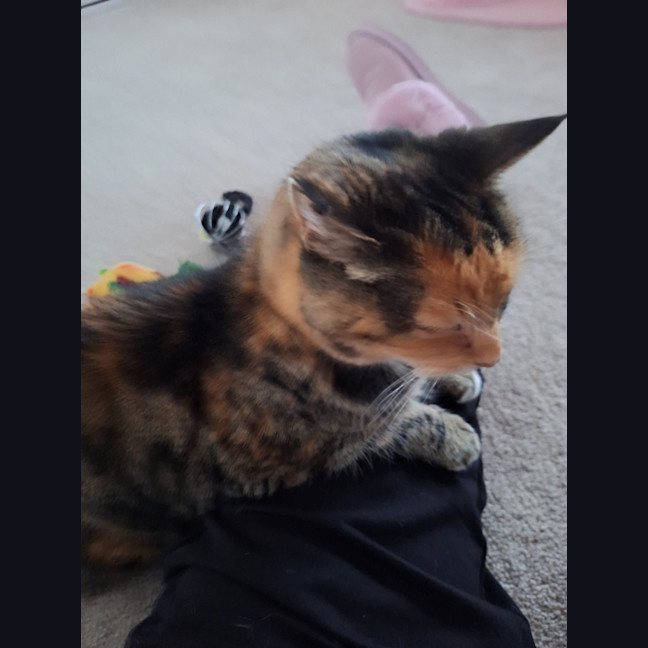 Photo of Alice