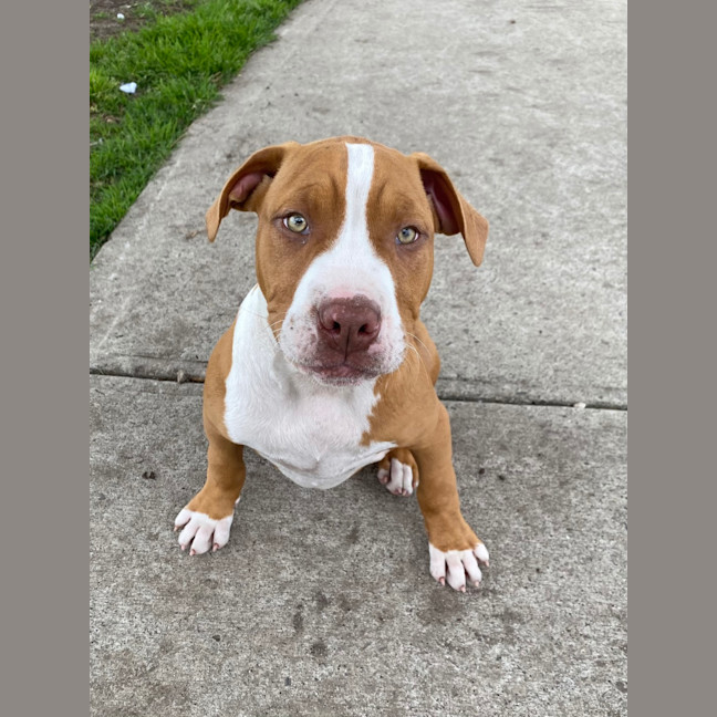 Photo of Bronx 