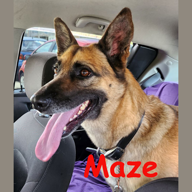 Photo of Maze Or Mazie