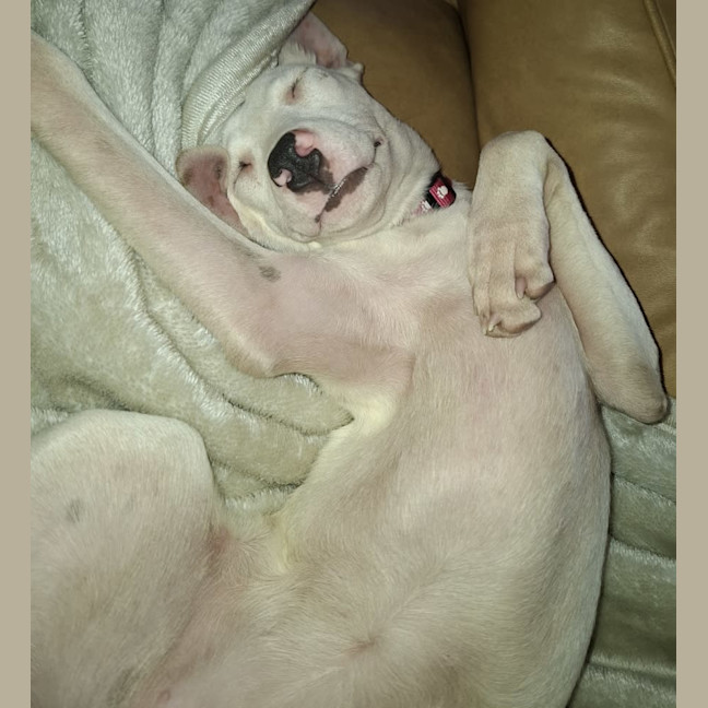 Photo of Aqua