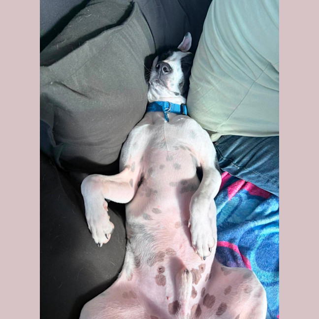 Photo of Mike