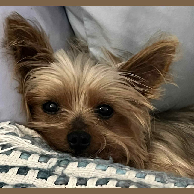 Photo of Tess