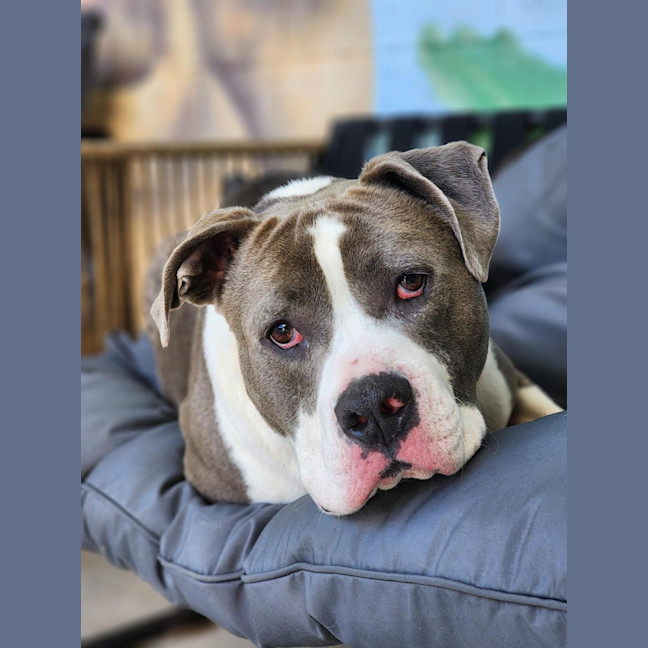 Photo of 🧱 Mason 6377 🧱