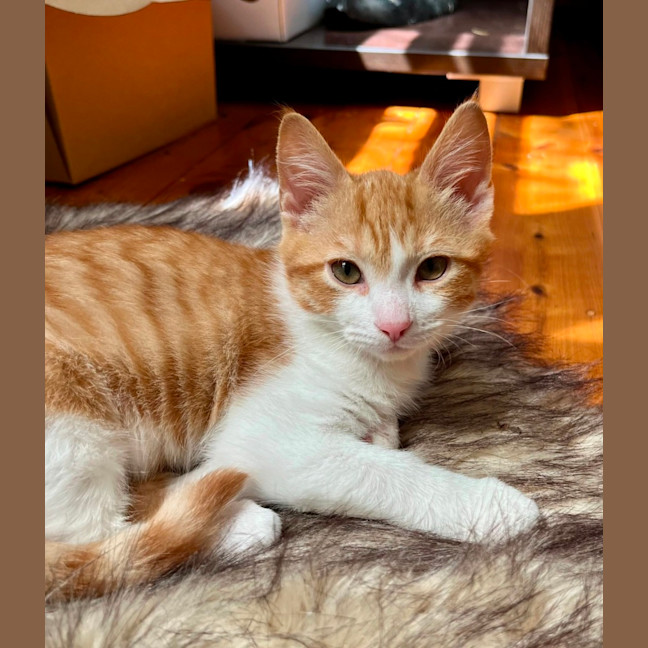 Photo of Wally