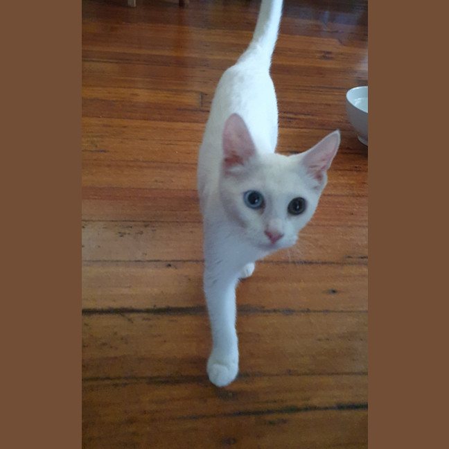 Photo of Elsa