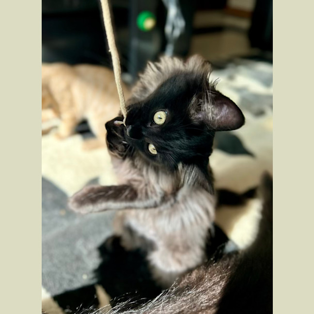 Photo of Lumos   Located In Lower Plenty