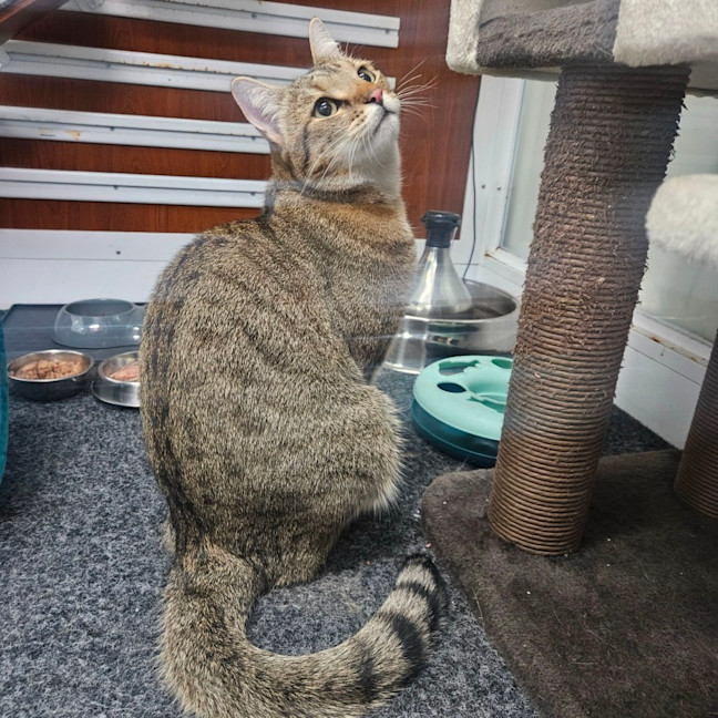 Photo of Marty
